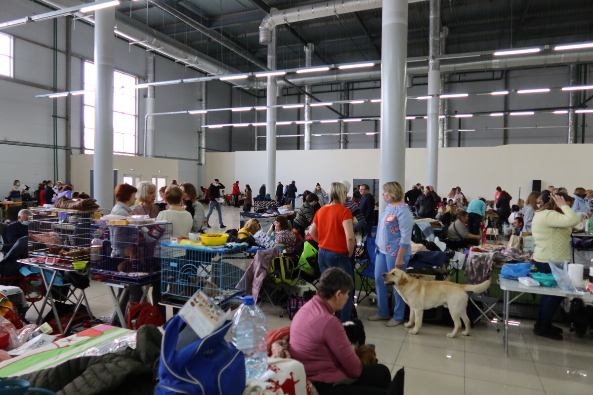 Вот так примерно выглядит выставка изнутри. И это еще небольшой локальный CAC.