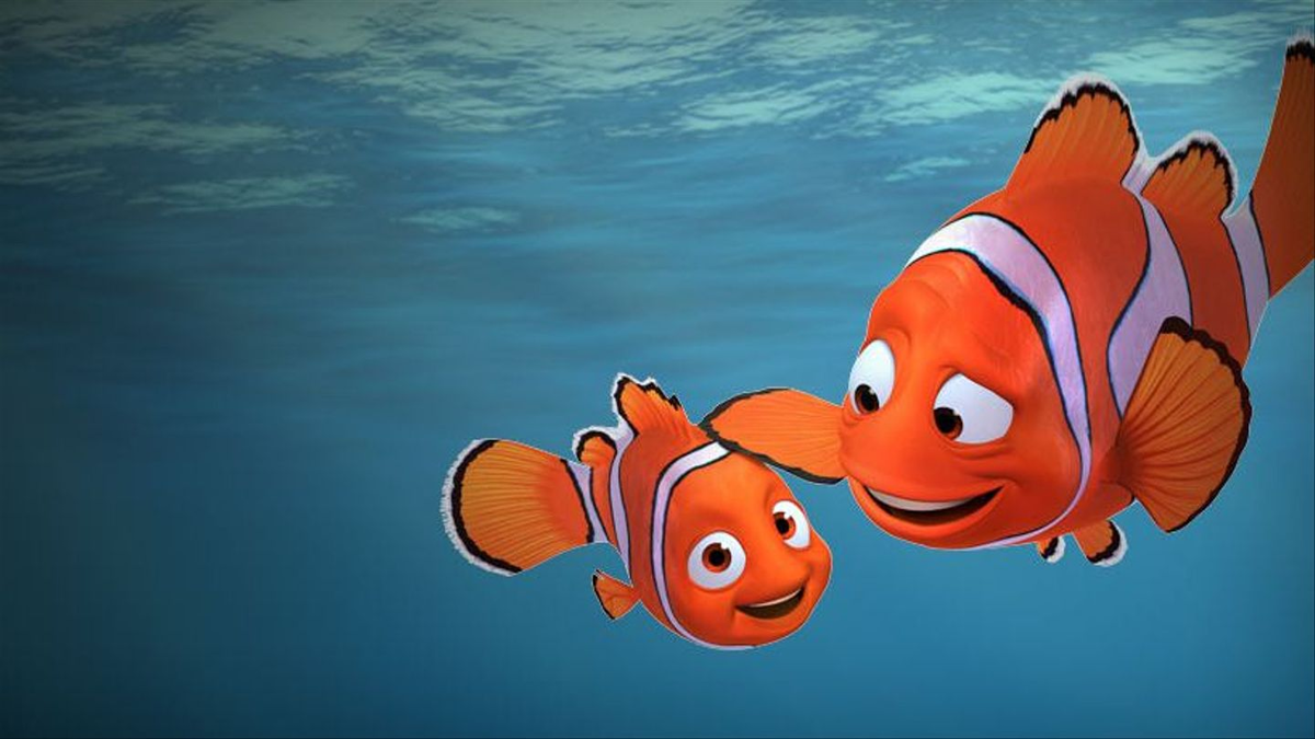 марлин отец немо. немо дори и марлин. рыбка немо мультфильм. рыба клоун отец немо. герои мультика немо марлин.