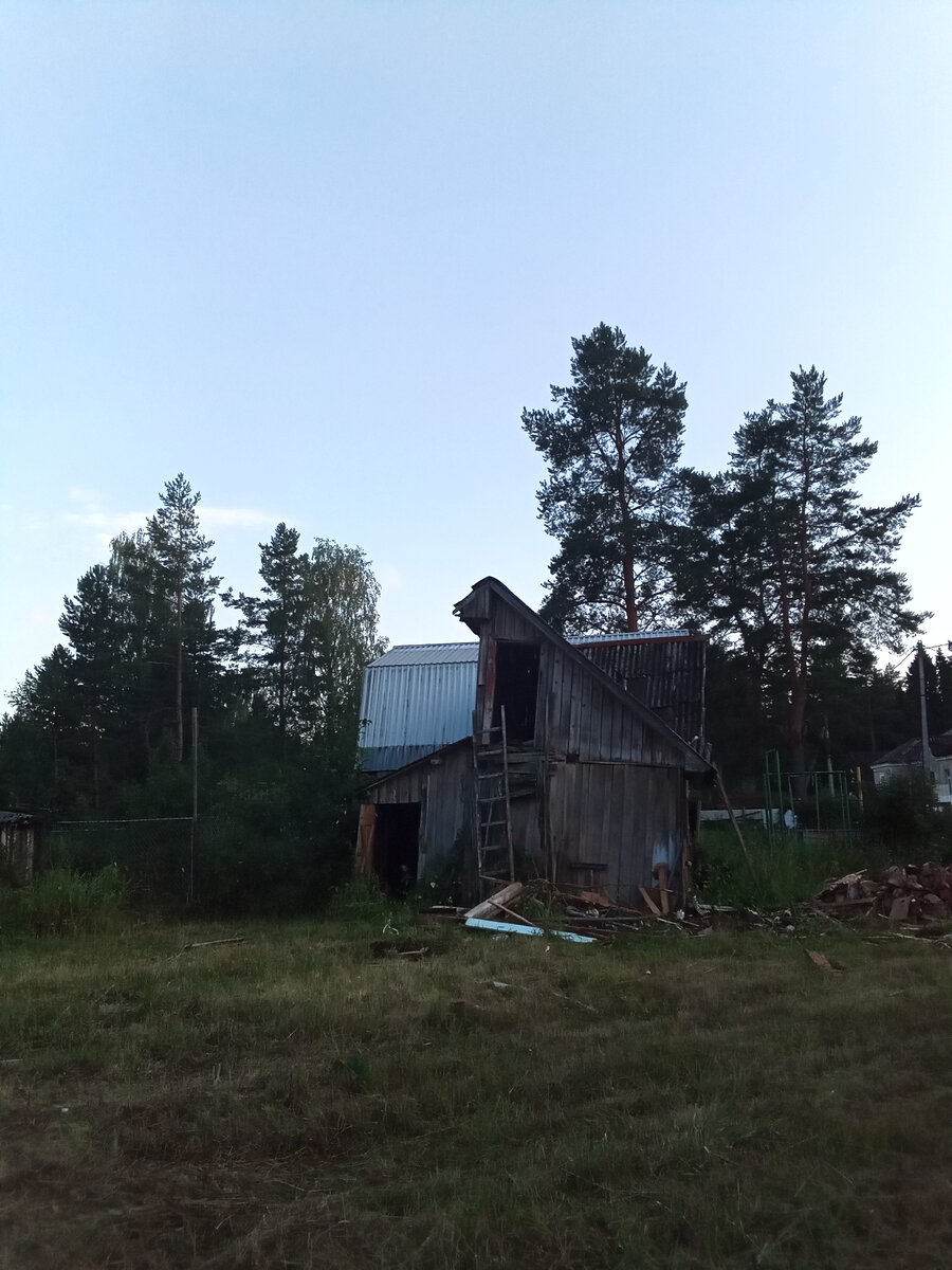 Кадр с прогулки. А между тем там красота вокруг, озеро и сосны. 