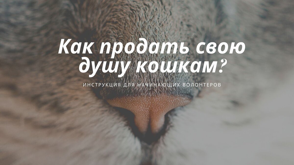 Статья о том, как подарить этому миру больше добра.