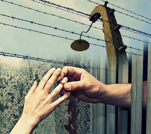 Картинка из интернета