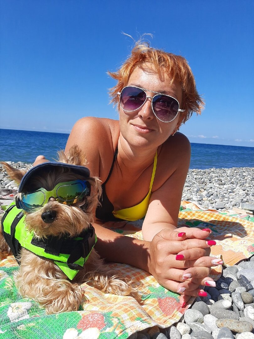 Собака на море, полная экипировка - солнечные очки, кепка и жилет для плавания.