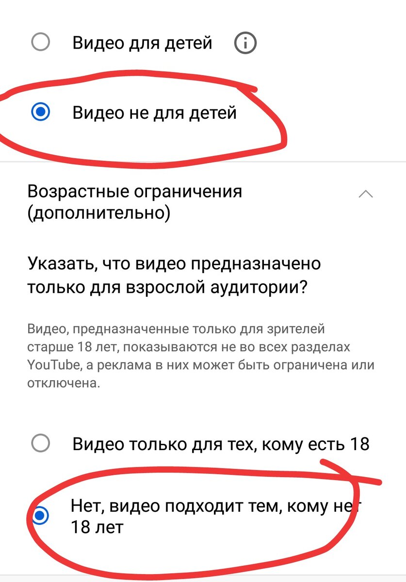 Дети - до или после 18 лет? | 🇷🇺 О С Т Р О В С К А Я🕯️ | Дзен