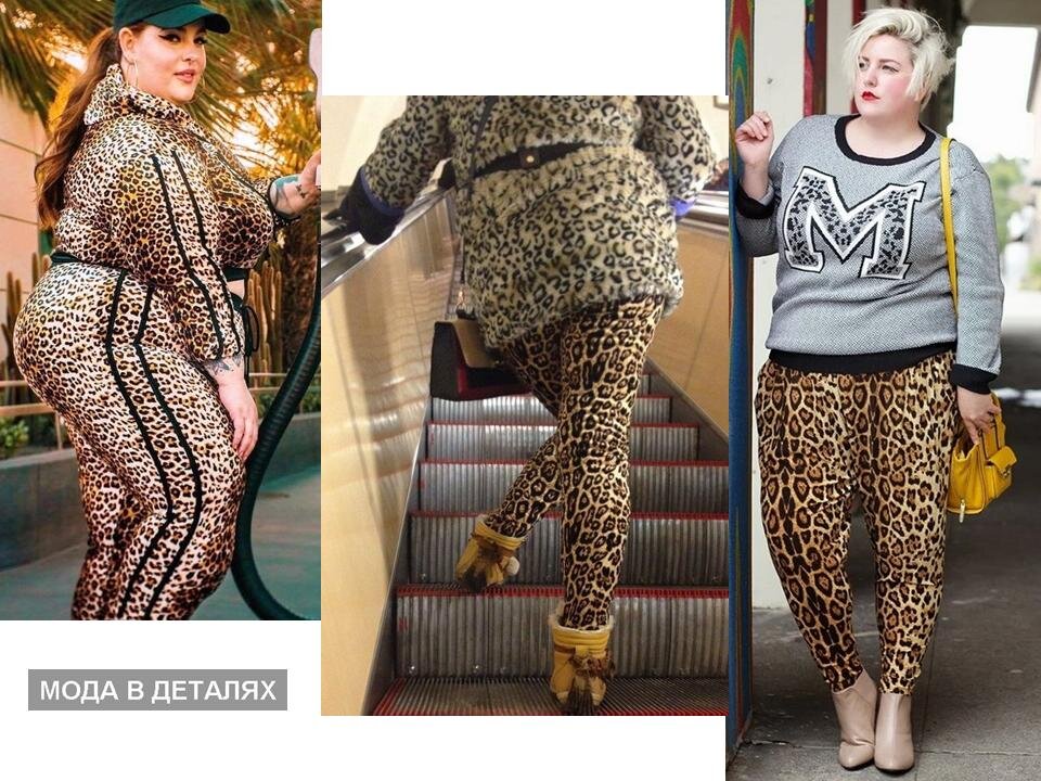 Фотографии из свободного доступа