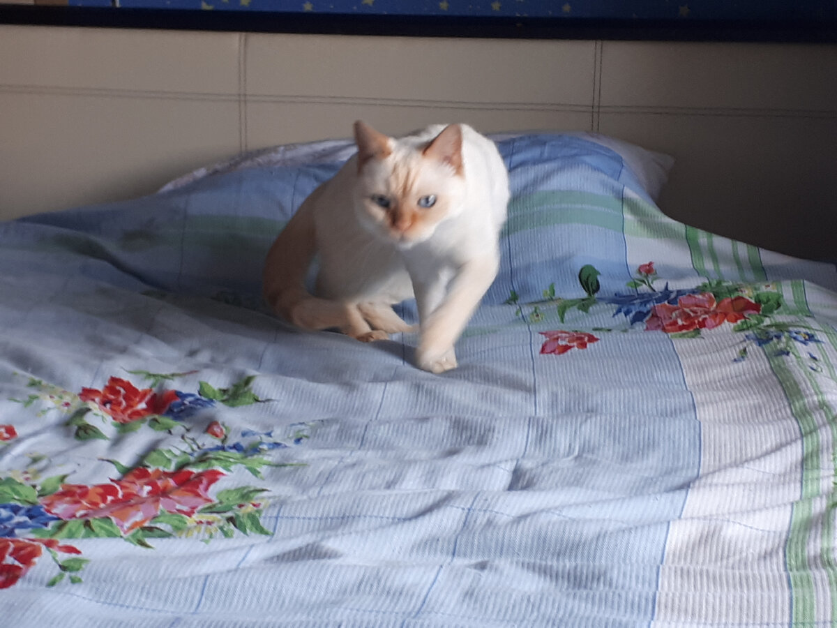 Совесть есть? А если найду?