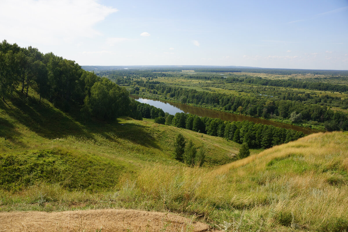 Картина лысая гора