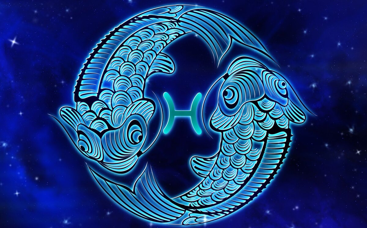 Фото взяты с бесплатного стокового сайта Pixabay