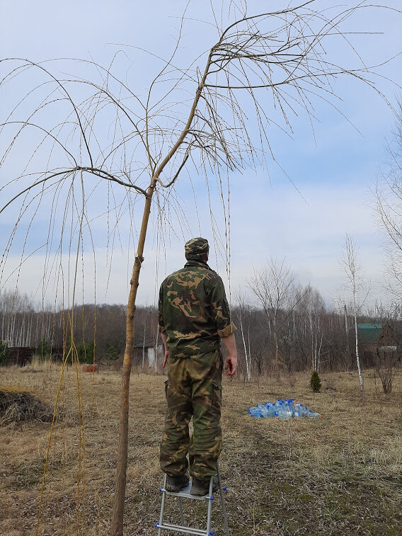 В процессе.... Даже со спины видно, что Митька грустит...