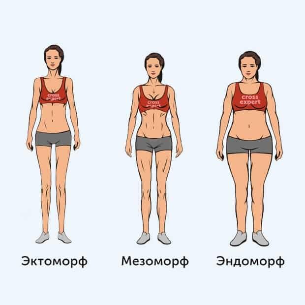 Типы телосложений наглядно.