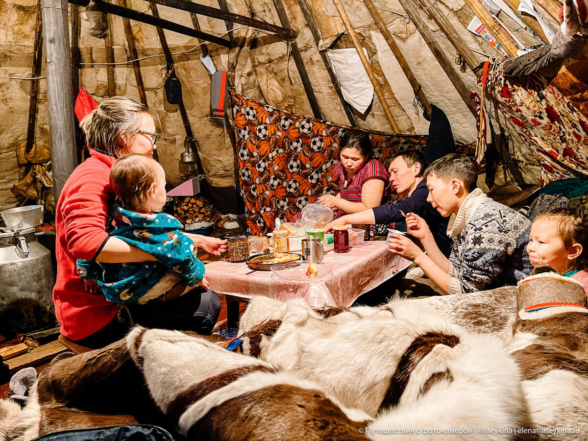 Как отмечают Новый год оленеводы в тундре на Ямале | Путешествия с ...