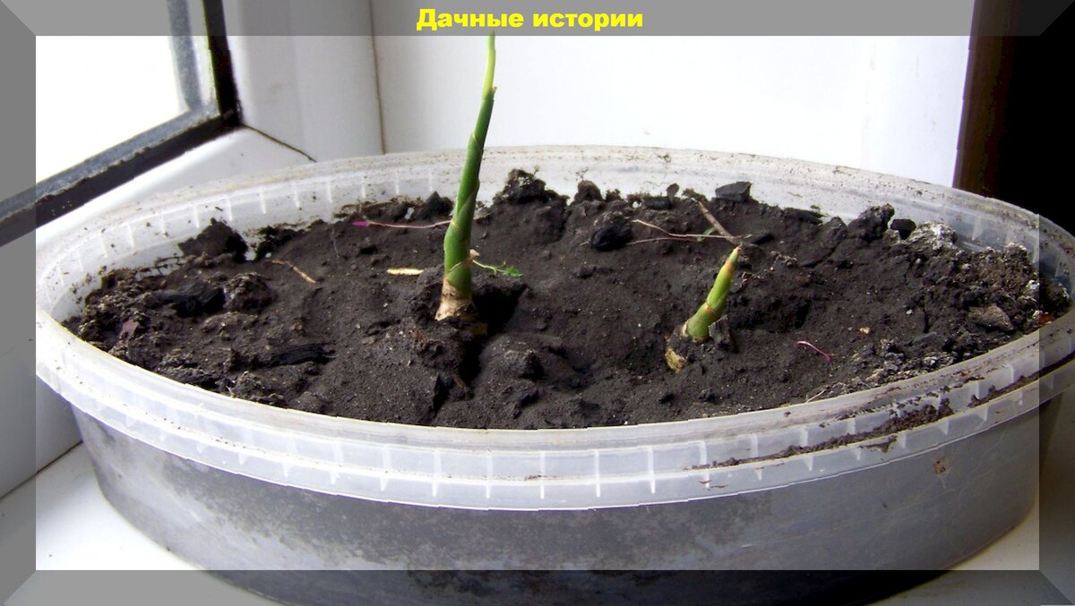 https://vk.com/photo-159774511_457250856