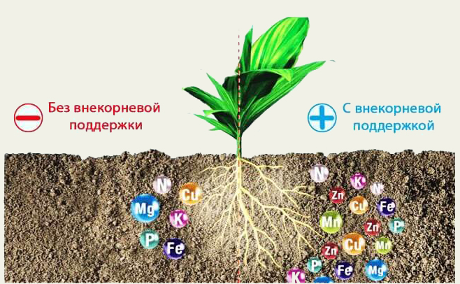 Инжекторы и дозаторы