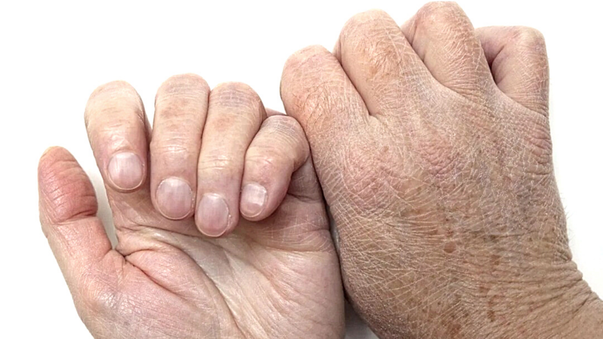 иллюстрация из интернета 