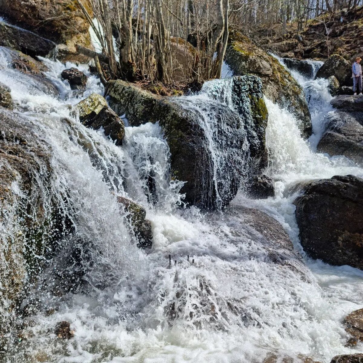 Фото из личного архива. На фото нет обработки, фильтров и улучшайзеров