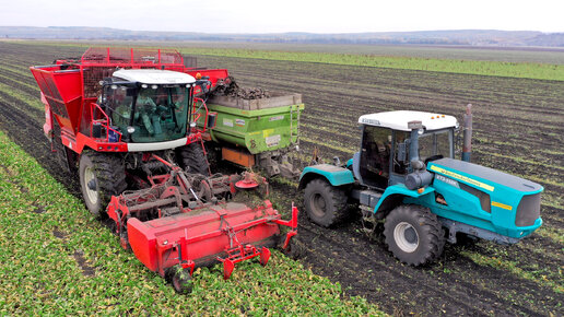 Скачать видео: Профессиональная уборка сахарной свеклы комбайнами Agrifac Quatro с разгрузкой на ходу в тракторы Т-150К и JD 6135B!