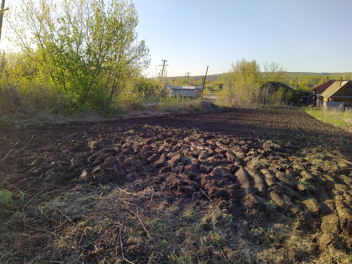 Огород запахан, ждёт посадку. Третью или четвертую часть отвоевали у целины.
