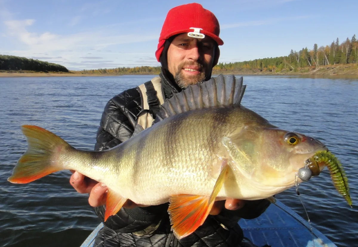 Все виды рыбалки. Профессионально. | Max Fishing | Дзен