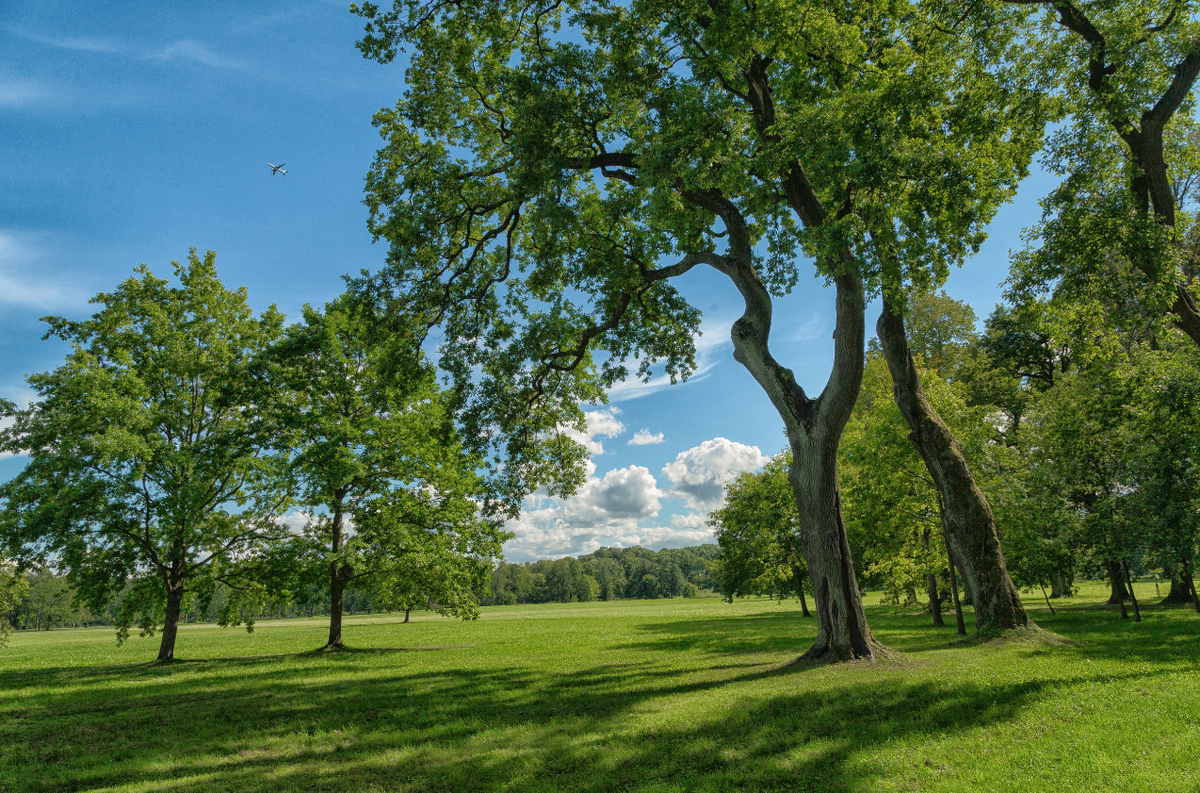 Фото Александра Дроздова