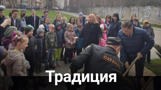 Посадка дерева