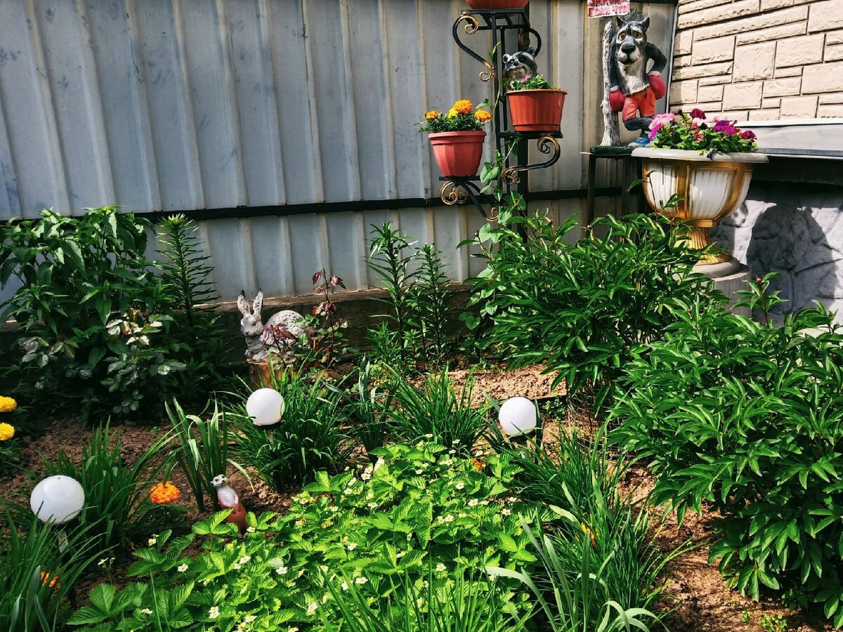 Маленький сад — 10 советов по его обустройству