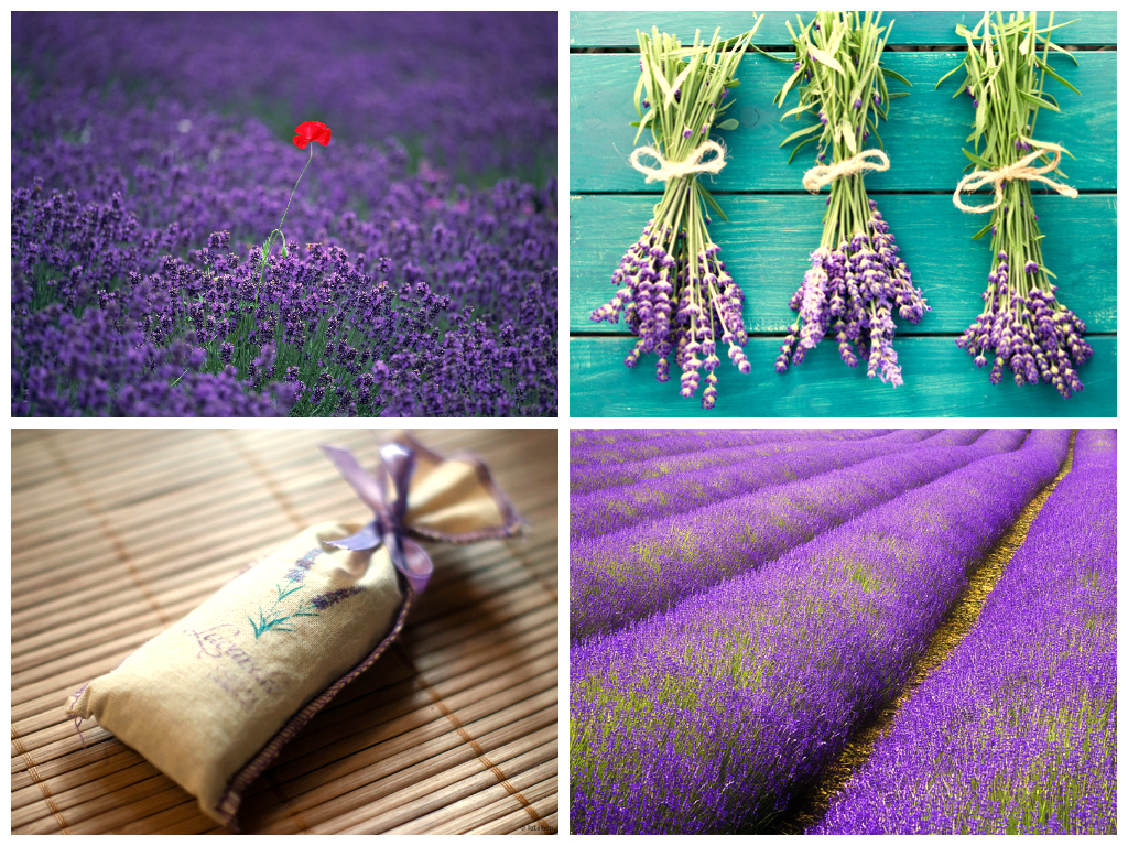 Источник картинки - https://clck.ru/pkUwz