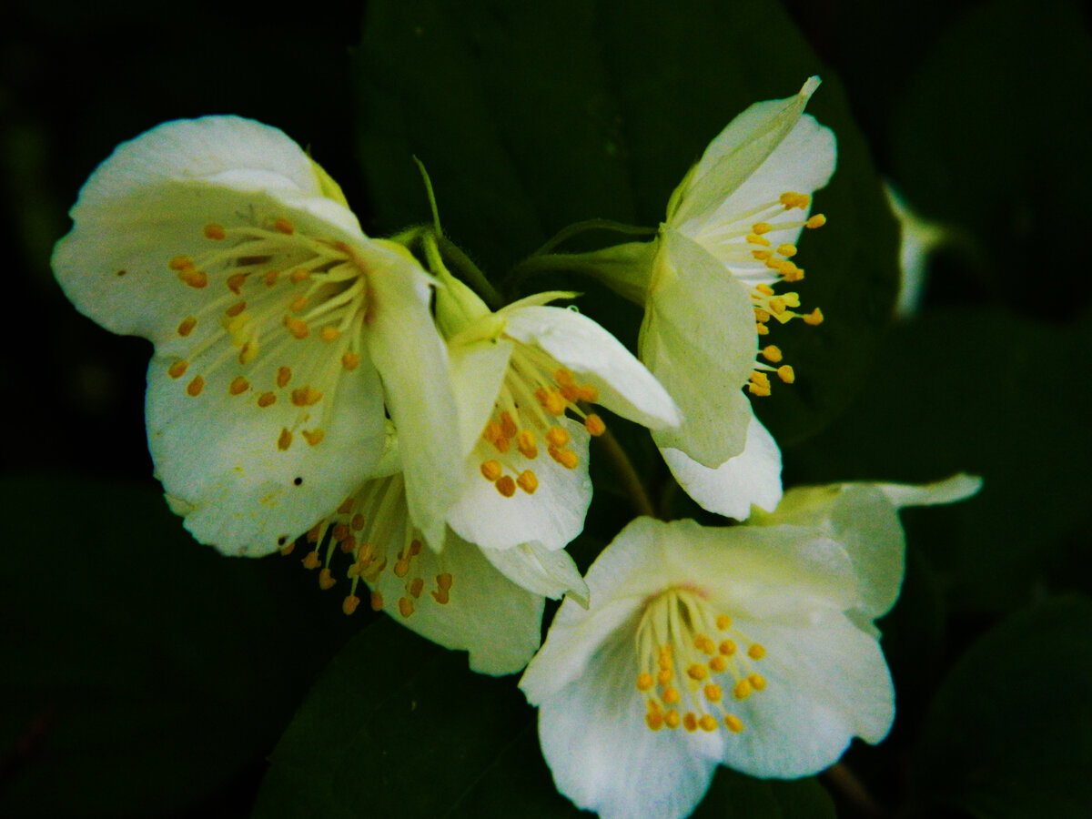 фото автора канала