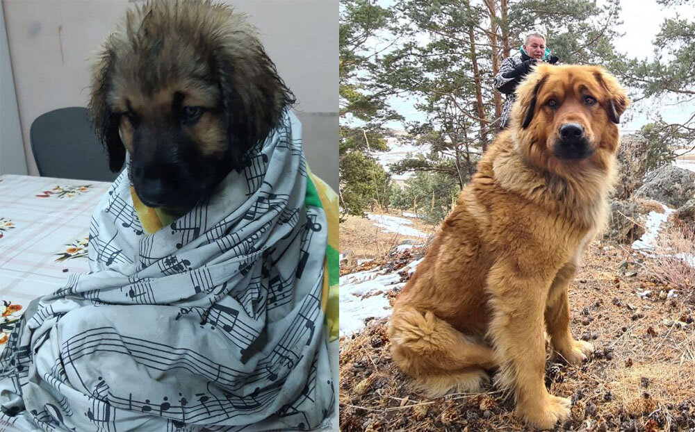 Наследие Веков Карай