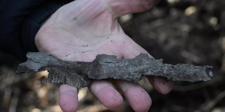 Фото: РИА «Новости» / Илья Питалев