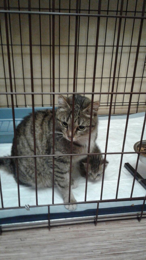 Кася с малышом только что приехали к нам