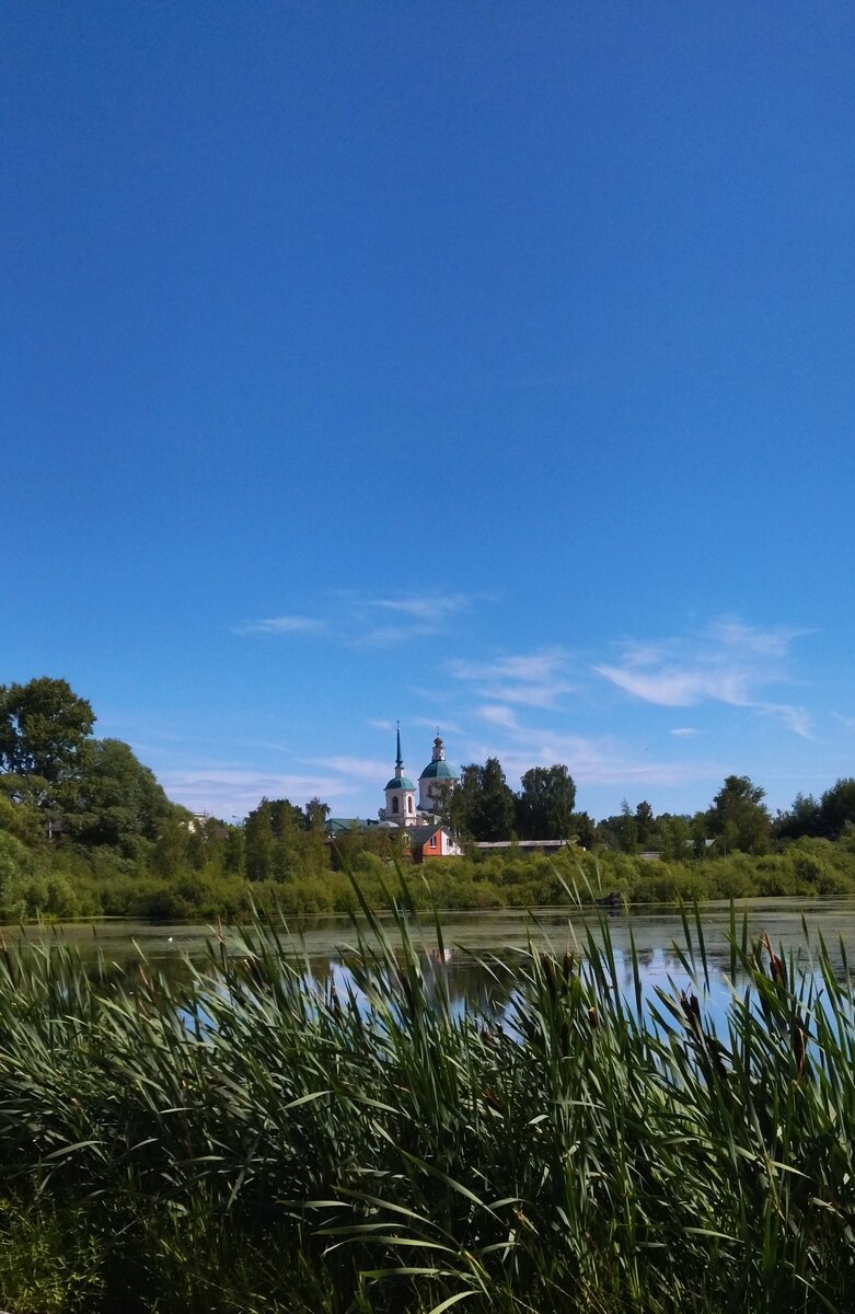 Лето. Июль. Подмосковье. Поездка моя. Фото моë.