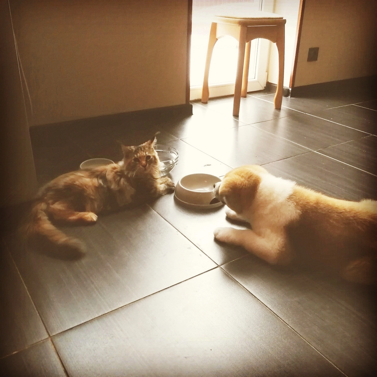 Кто первый , тот и успел 