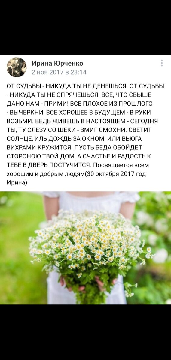 Мои стихи