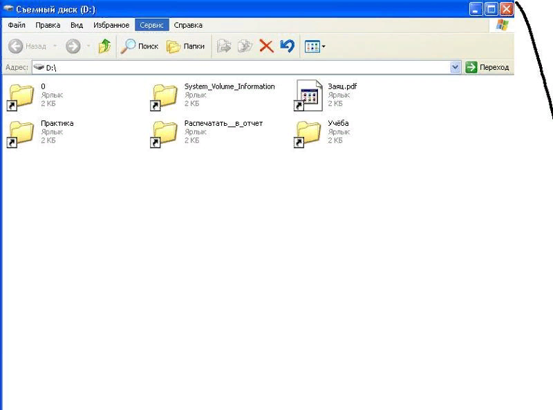 Пример зараженного накопителя.
