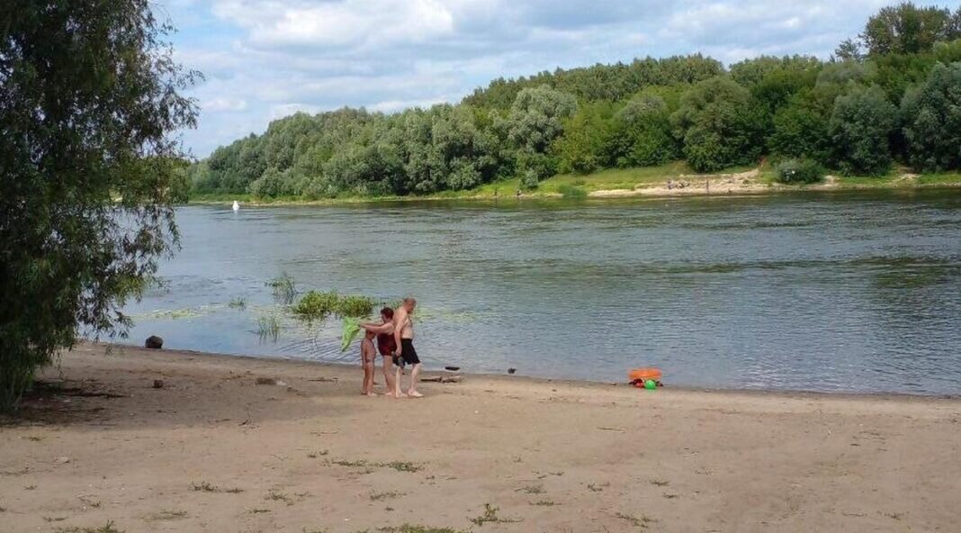    Фото из Телеграм канала Администрации Рязани