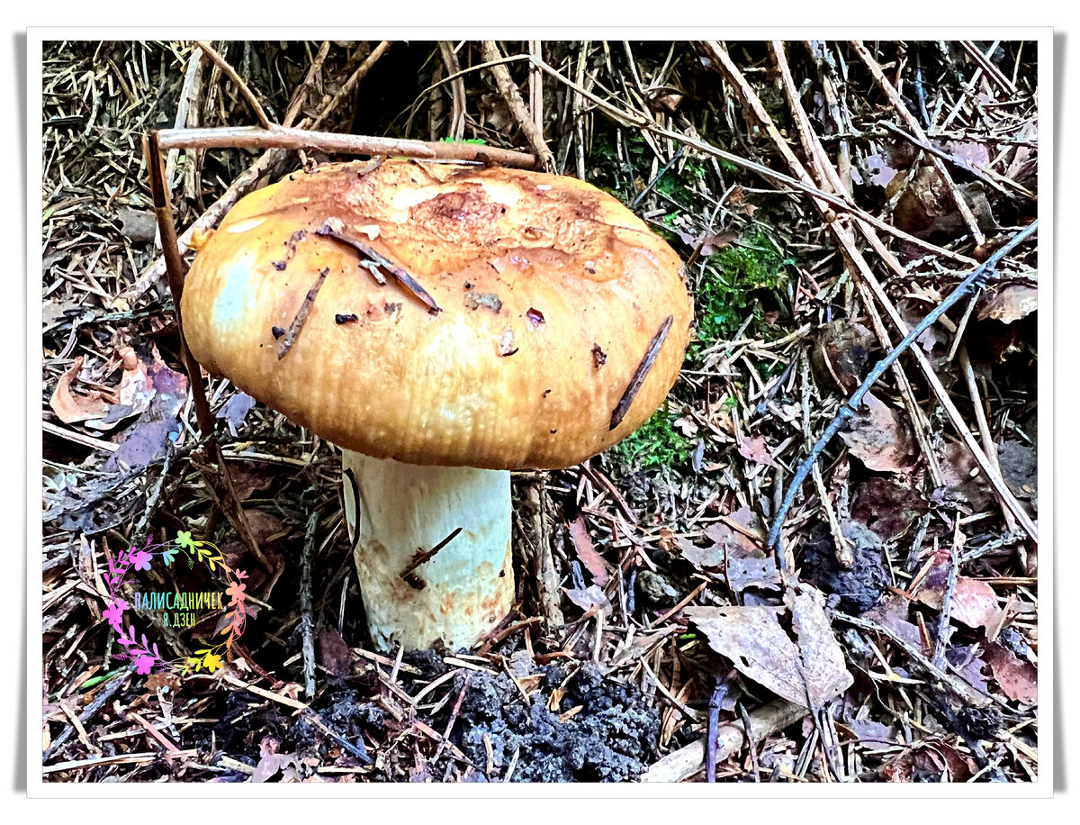 Номер 3. Листайте, пожалуйста. ⏩⏩