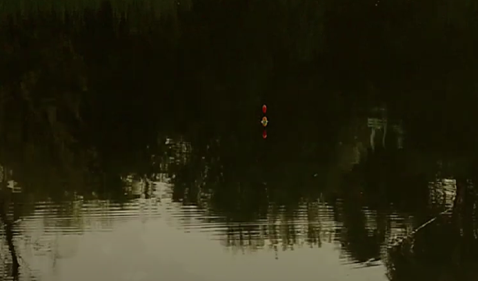 Утренняя тишина