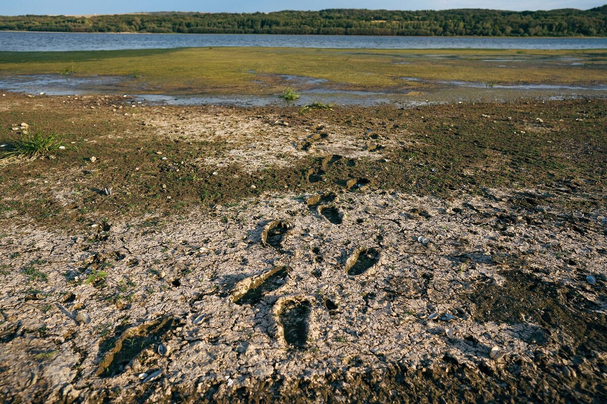 фото пересохших рек