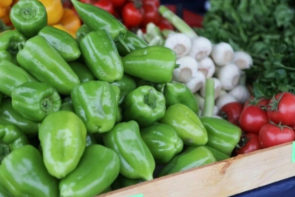     Мэр Новосибирска Анатолий Локоть призвал отказаться от покупки фруктов и овощей в уличных киосках. Дмитрий Ахмадуллин