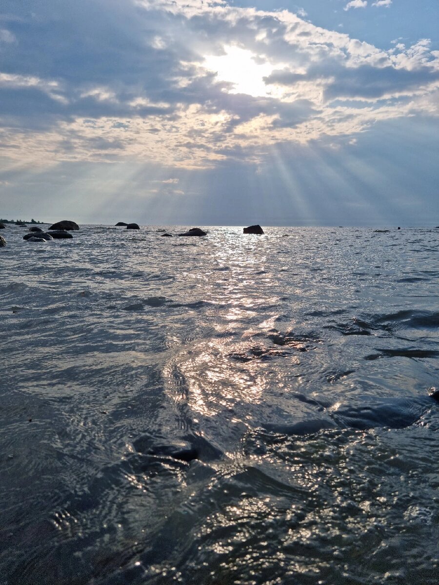 Финский залив (фото из личного архива)