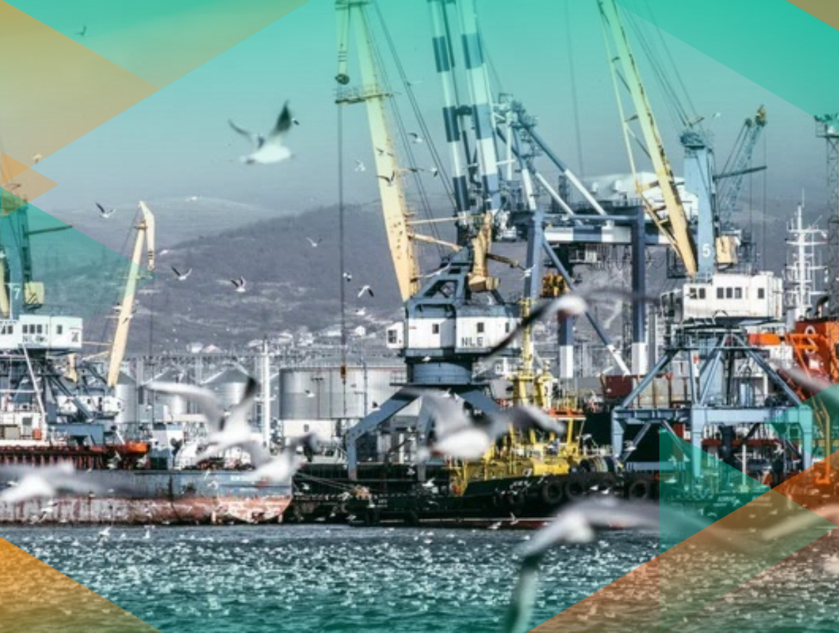 Работа в Новороссийске