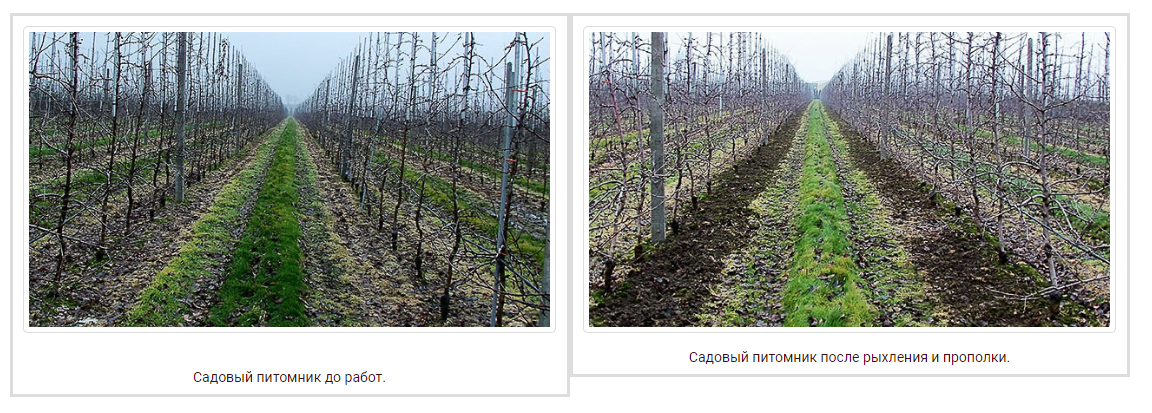 Источник: Яндекс.Картинки