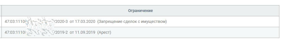 Вот такие записи можно обнаружить в выписке из Росреестра