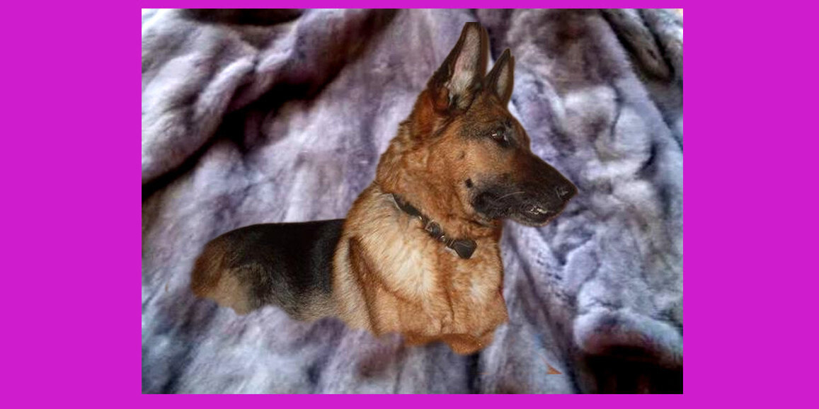 коллаж автора