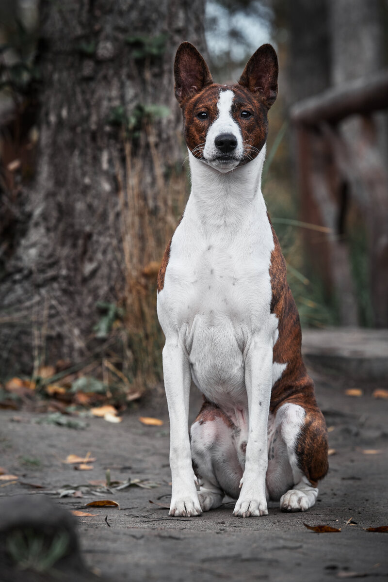 Что это мама делает? Фотограф Иван Вострецов 