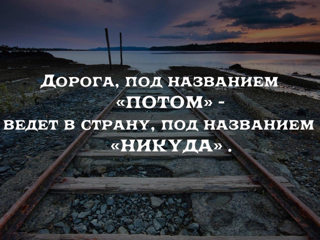 Почему очень важно идти своим путем, а не копировать чужой? - Резко, но  точно подметил Хосе Ортега-и-Гассет | Литература души | Дзен