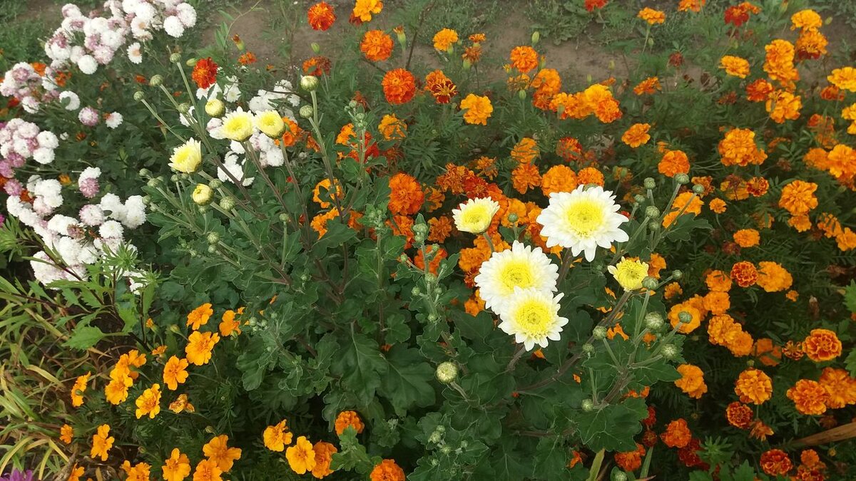 Из личного архива автора канала