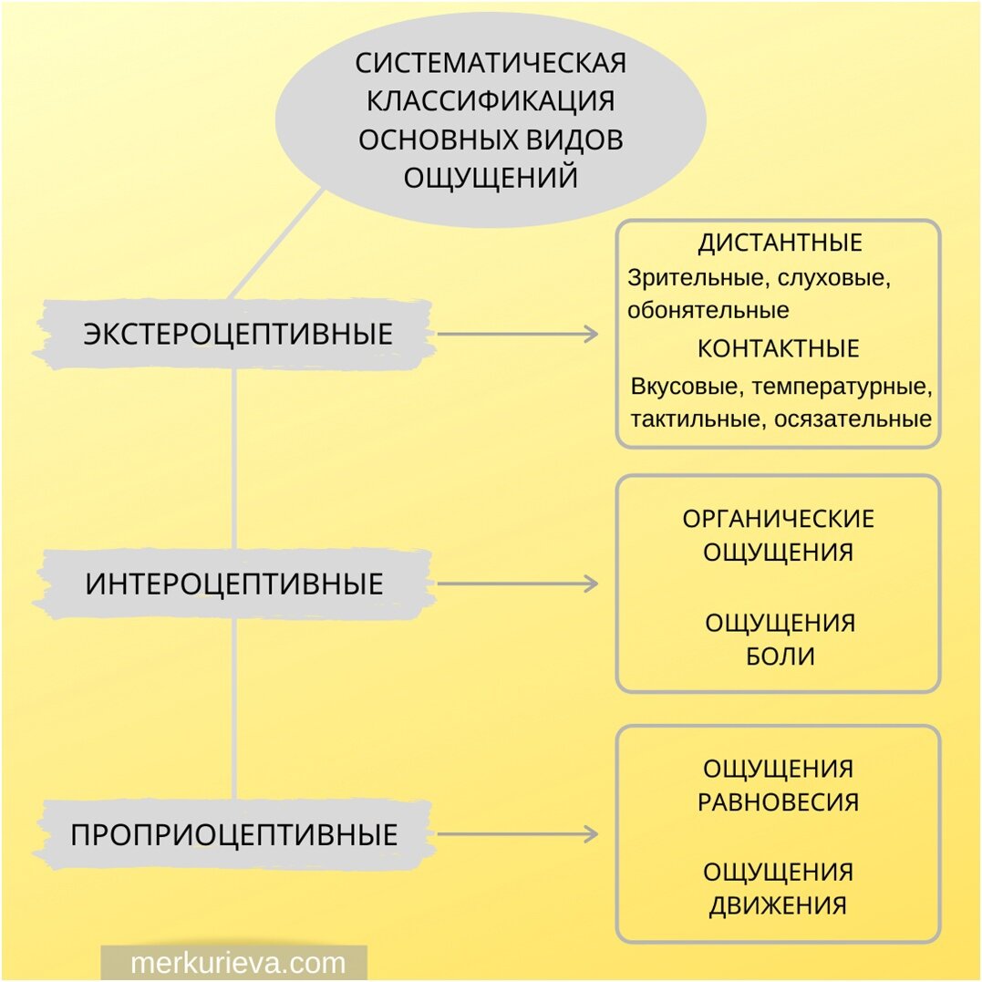 Свойства зрительных ощущений. Свойства зрительных ощущений
