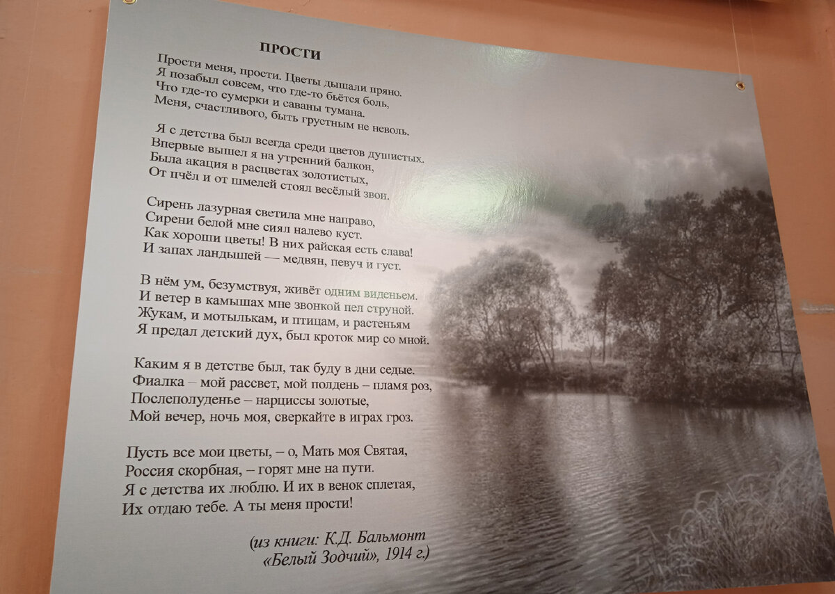 Константин Бальмонт - поэт и полиглот из Шуи. Путешествие на родину  символиста, воспевшего солнце... | Из точки в точку. Редкие экскурсии.  Дарья Ермолина | Дзен