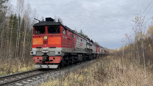 Секс знакомства Котлас