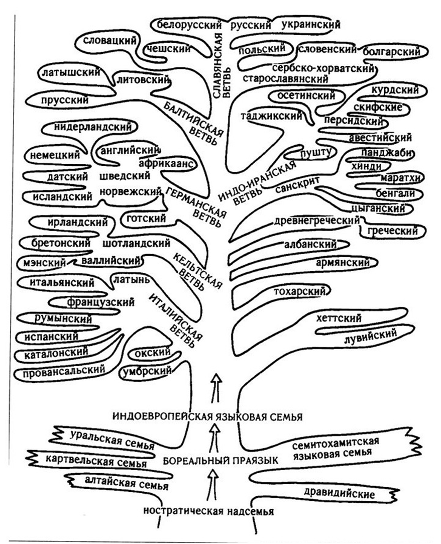 Языковая семья русских. Языковое Древо индоевропейской семьи. Генеалогическое Древо индоевропейской семьи языков. Генеалогическое дерево языков мира индоевропейского языка. Генеалогическое Древо классификация индоевропейских языков.